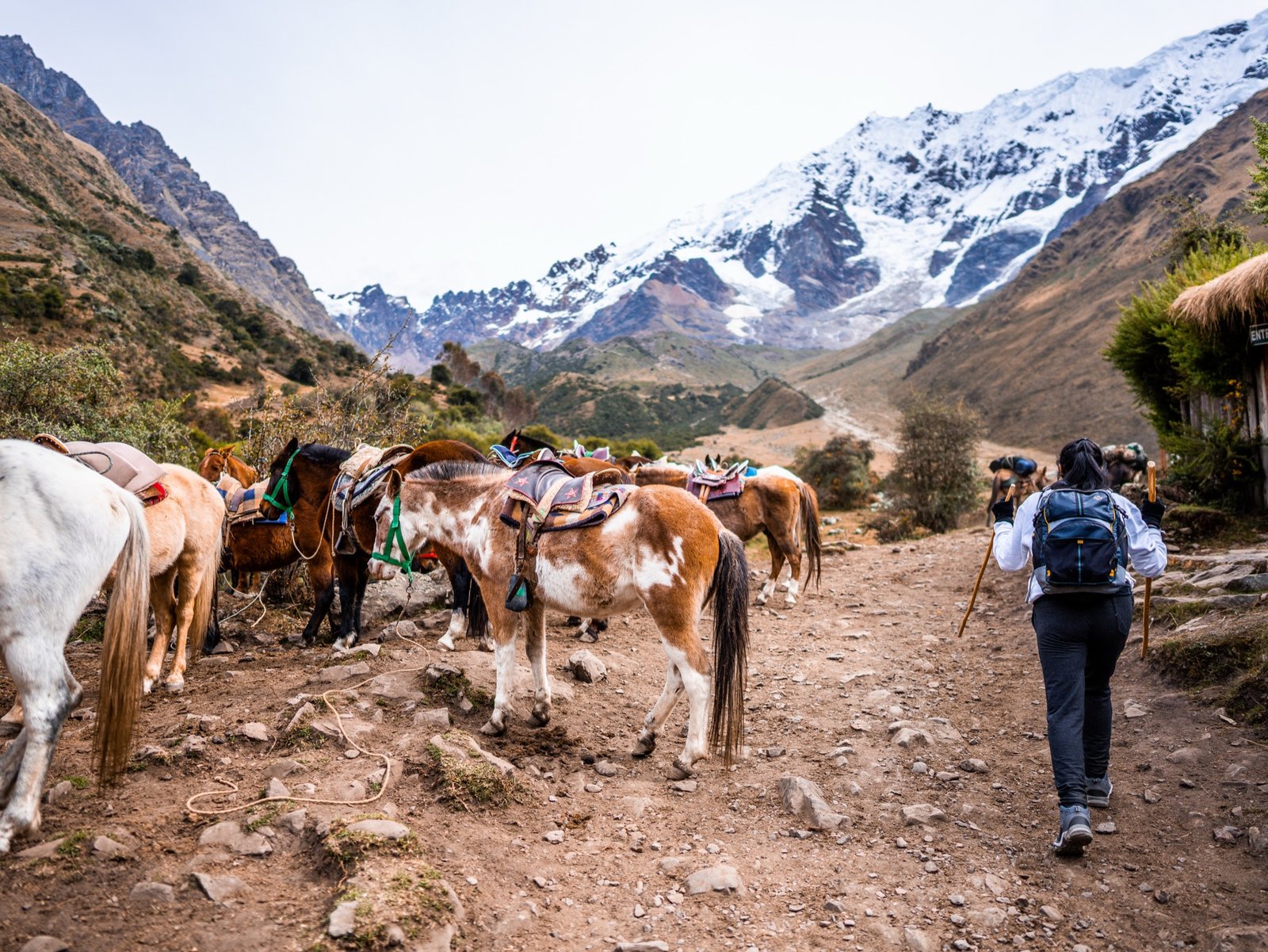 Raízes das Américas